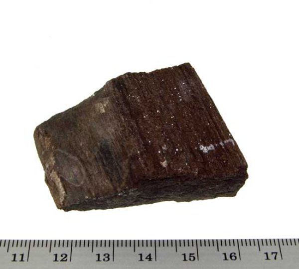 Fossiles Holz #3: B/T/H:45/35/14 mm, Gewicht: 63 g